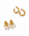 Regal Lion & Sculpted Hoop Earrings Combo